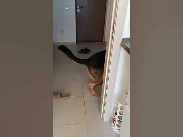 Video thumbnail for 28 octombrie 2023