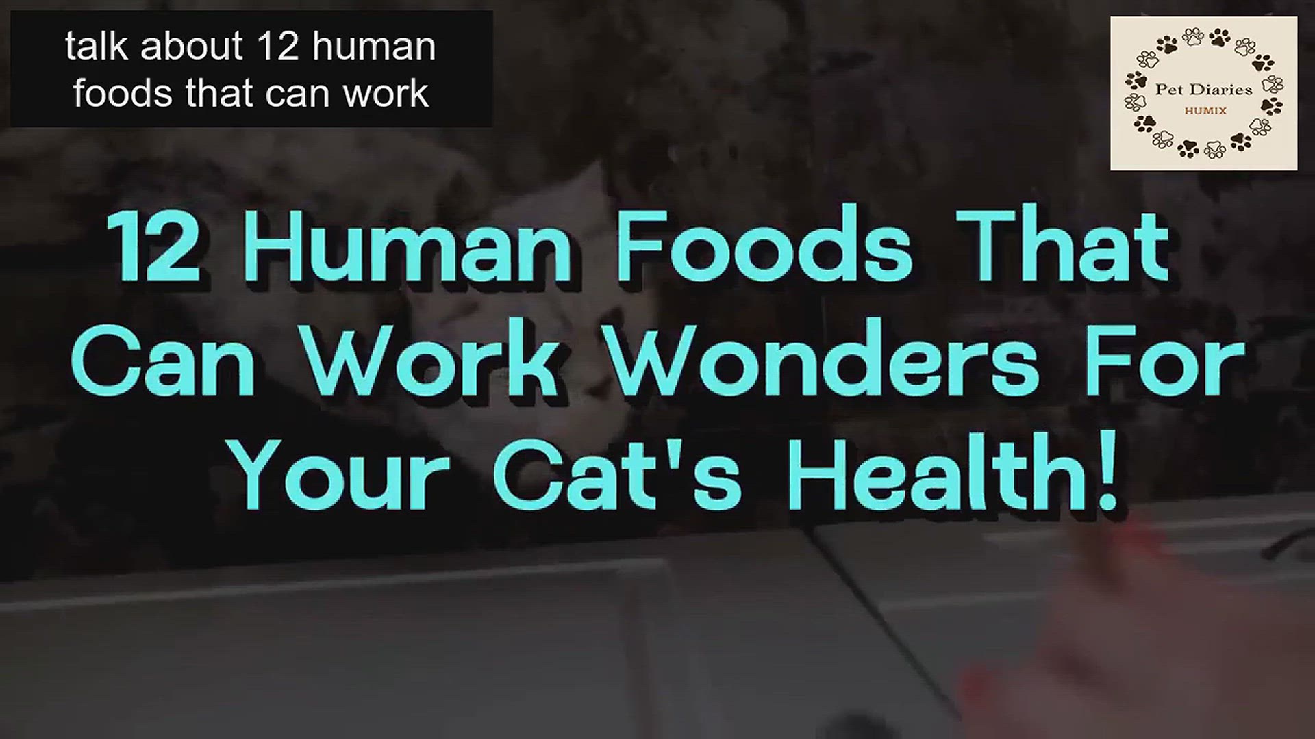 Video thumbnail for Healthy Foods for Cats