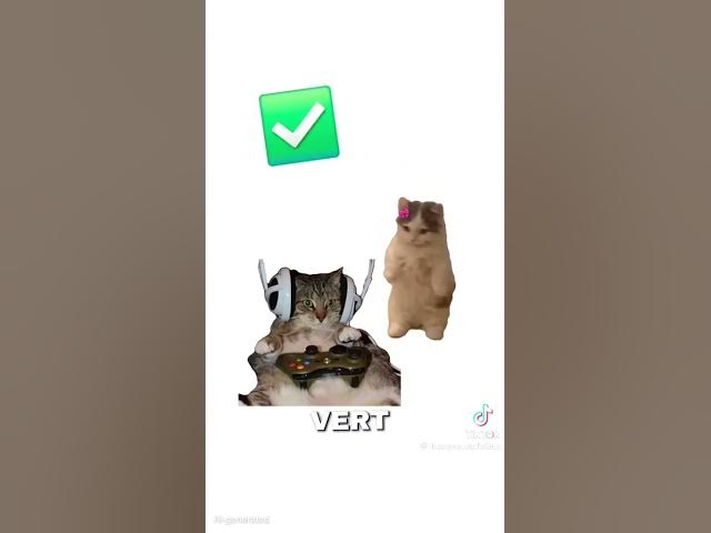 Video thumbnail for Comment comprendre son copin ?🤣🤣