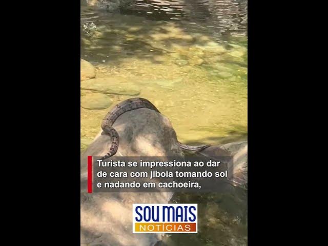 'Video thumbnail for Turista se impressiona ao dar de cara com jiboia tomando sol e nadando em cachoeira de Goiás'