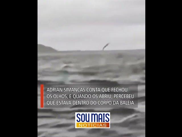 'Video thumbnail for Jovem é engolido por baleia enquanto passeava de caiaque no Chile'
