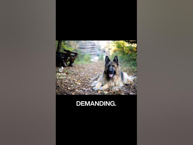 'Video thumbnail for 💌✌️'
