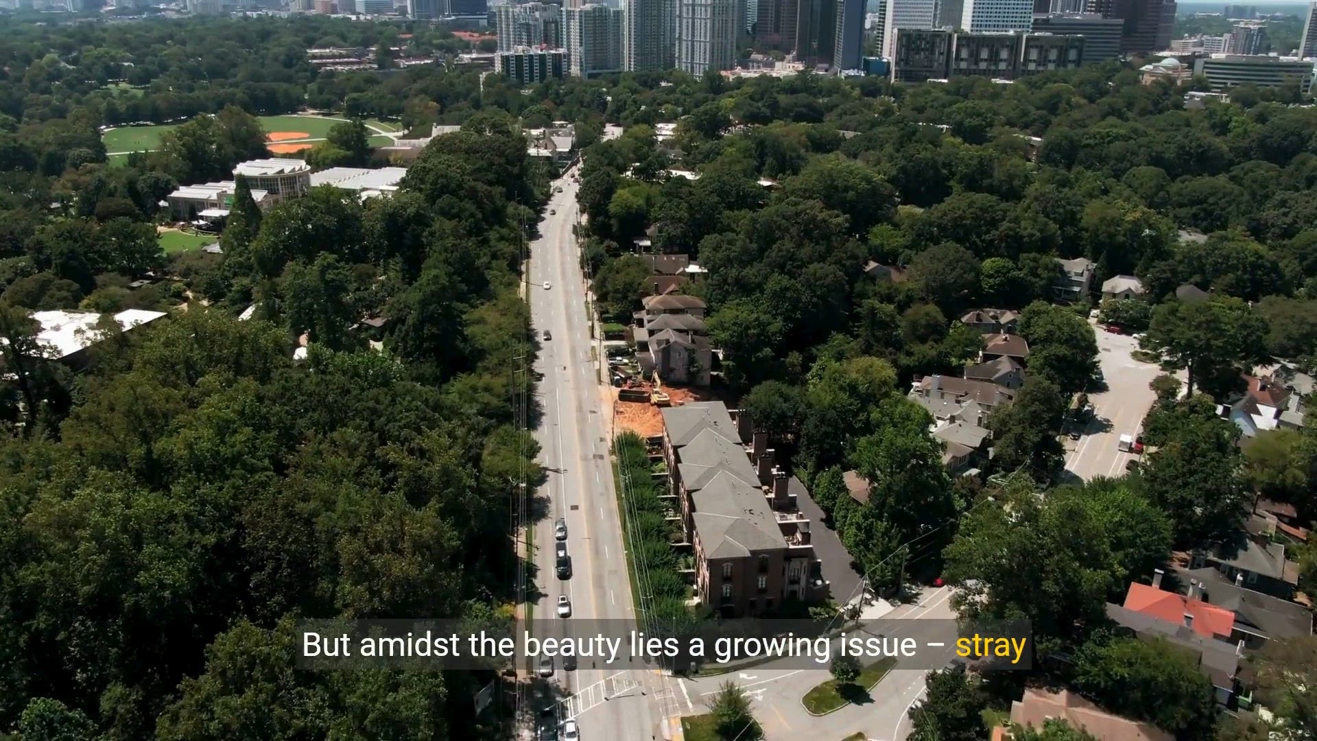 Video thumbnail for Rescuing Hope: Inside Georgia's Animal Shelters