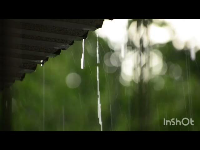 Video thumbnail for 15 minute- Rain for sleep #rain#rainoundforsleep #relaxingsounds #relax #peace #rainsounds
