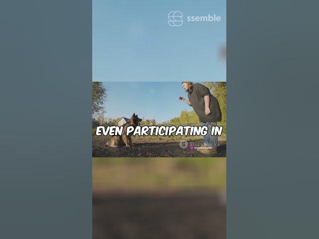 Video thumbnail for Gsd 101 Shepherd Fit Test