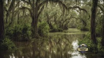 'Video thumbnail for Songs of the Forest: Native American Flute and Birdsongs'