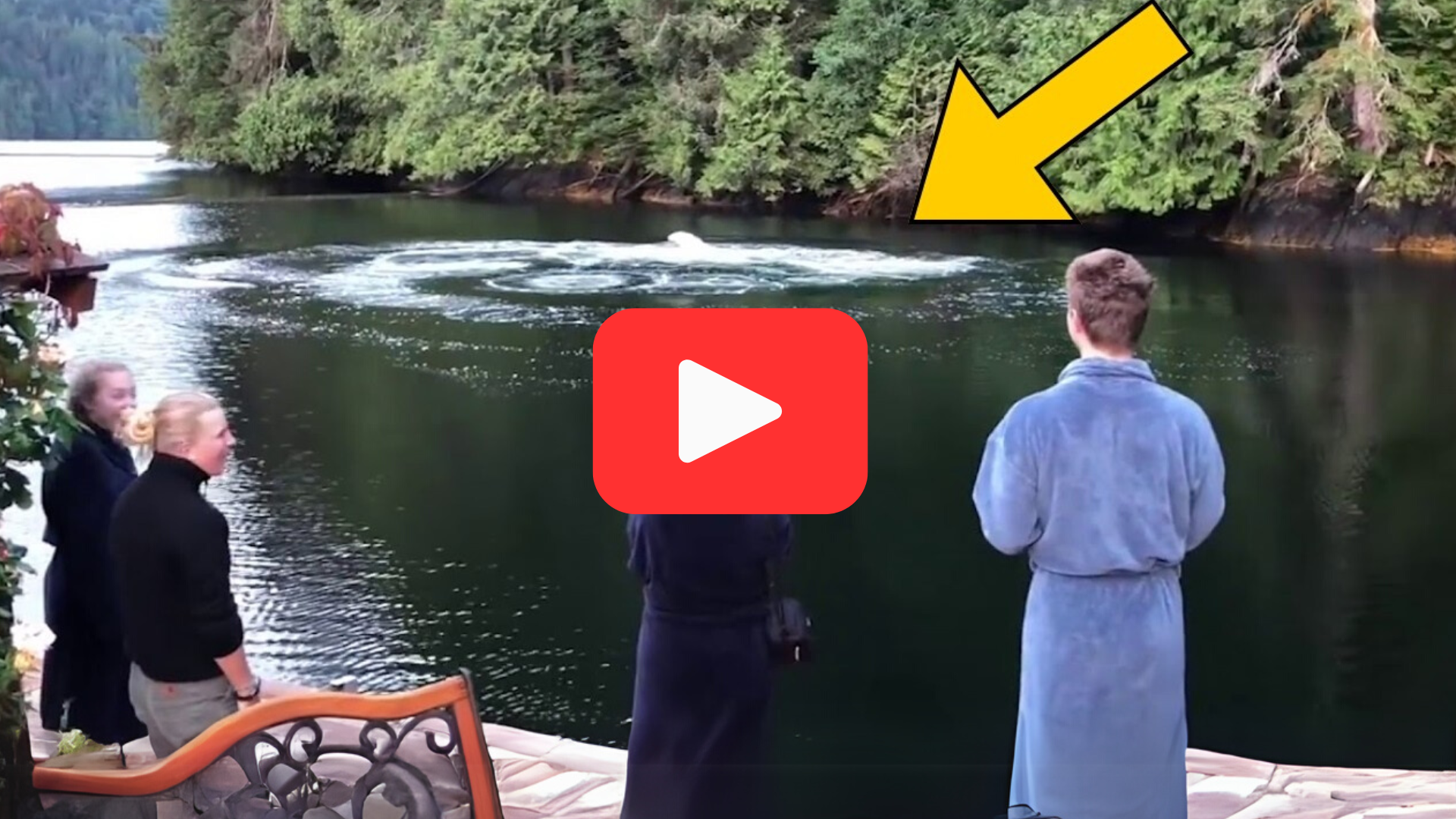 'Video thumbnail for Mysterious Circles Appear in the Pool—Then Chaos Erupted'