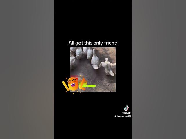 Video thumbnail for Fabulous