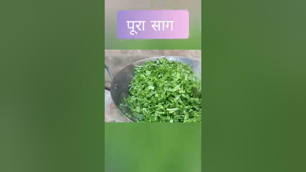 Video thumbnail for 😍चुल्हे पर बना यू़.पी.स्पेशल साग😋