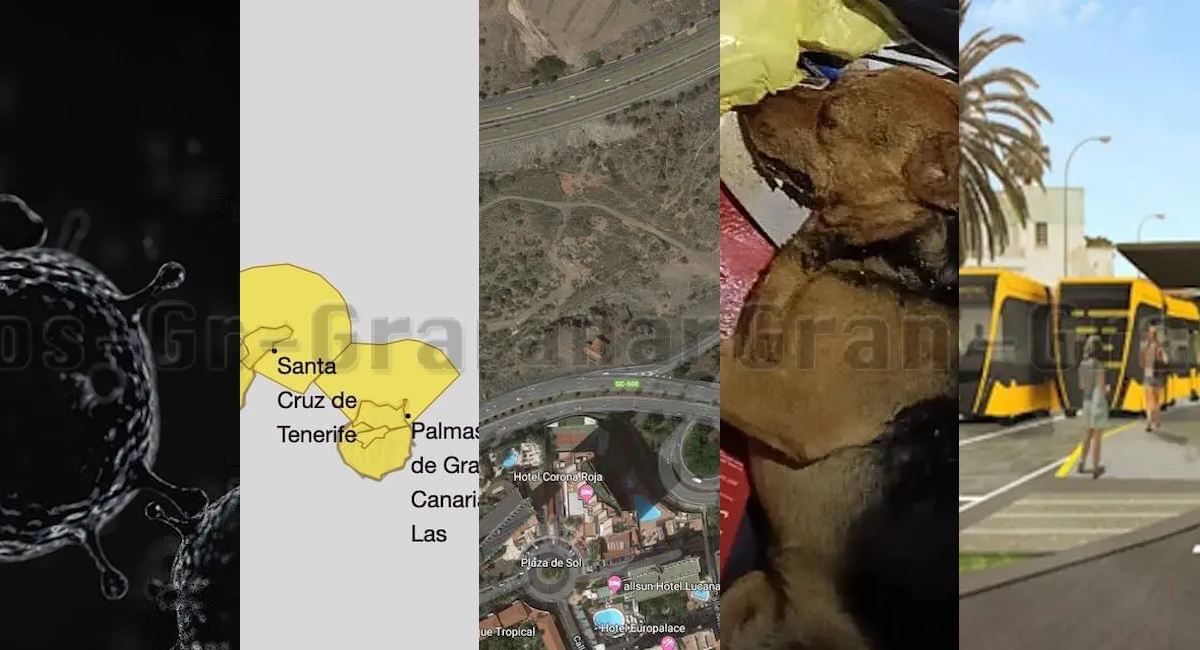 Playlist thumbnail for Wochenrückblicke 2026