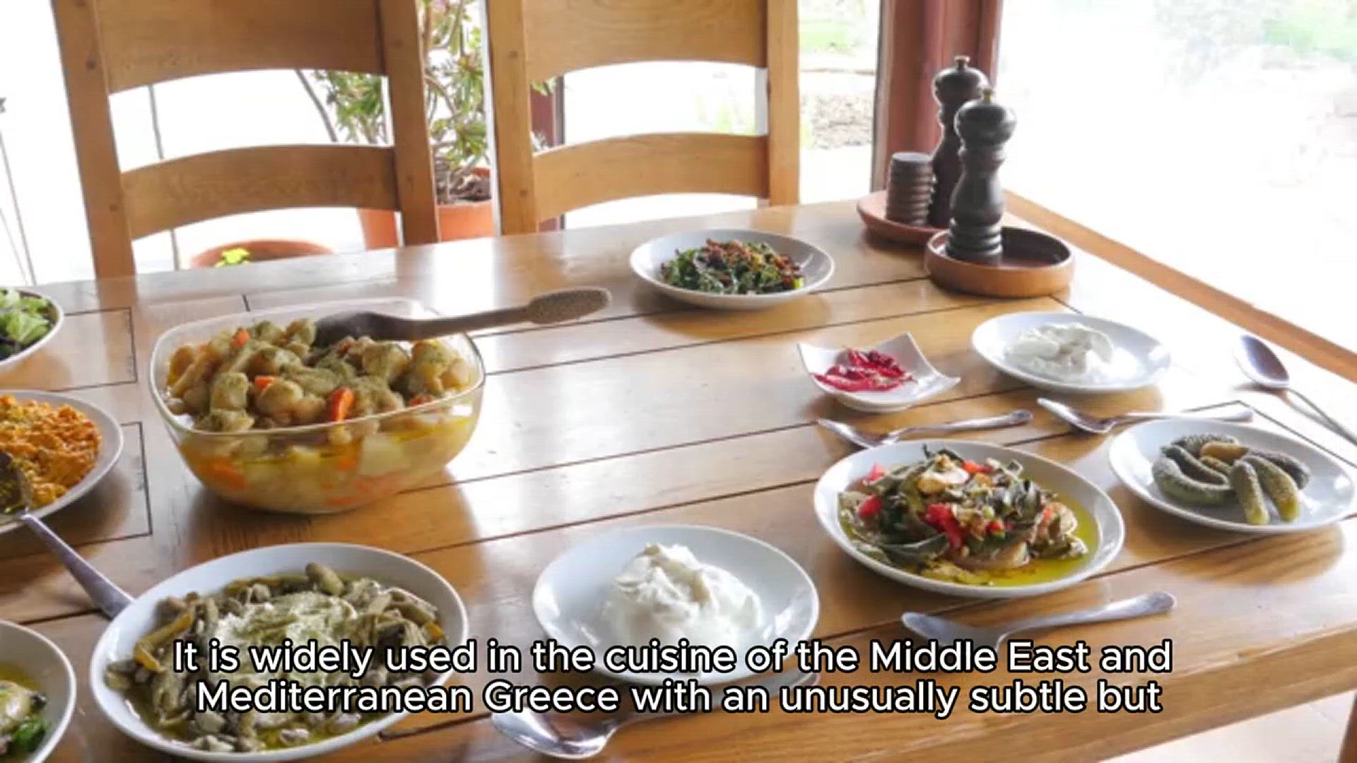 Video thumbnail for mehlab