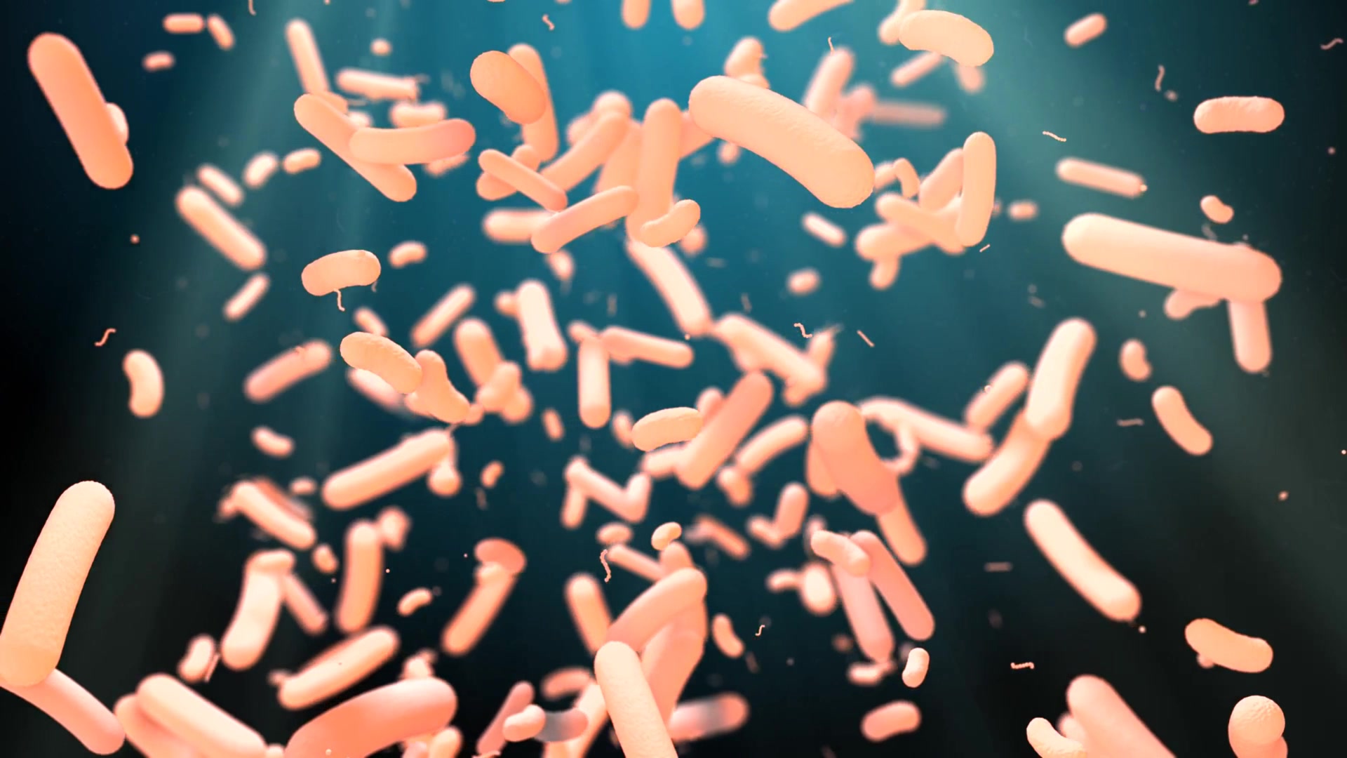 Playlist thumbnail for Salud y cuidados médicos