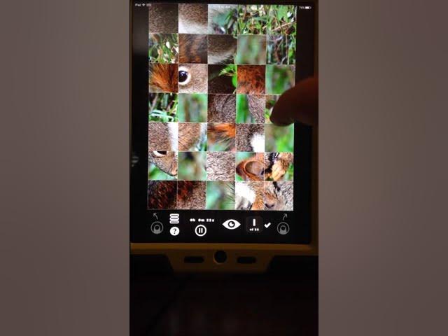 Video thumbnail for Picture Puzzler -Animals