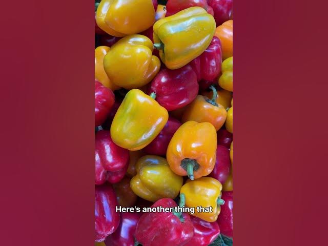 Video thumbnail for The Truth About Green Bell Peppers You Need to Know