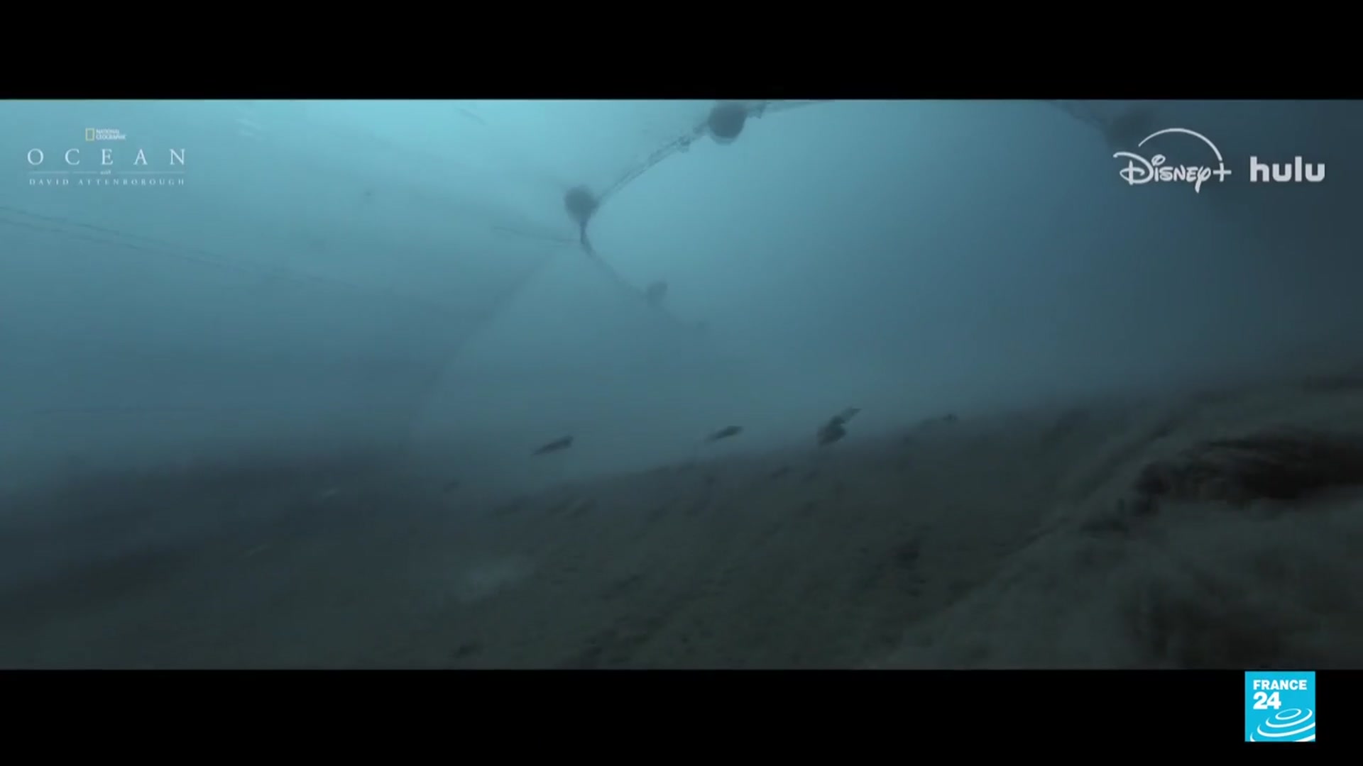 'Video thumbnail for Global push to ratify high seas treaty, that is two-thirds of oceans'