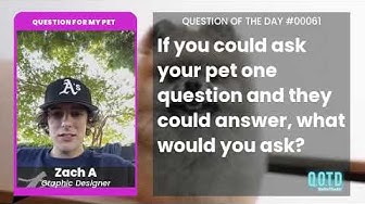 Video thumbnail for Zach would ask his pet if he likes him at all. I'm sure he does!