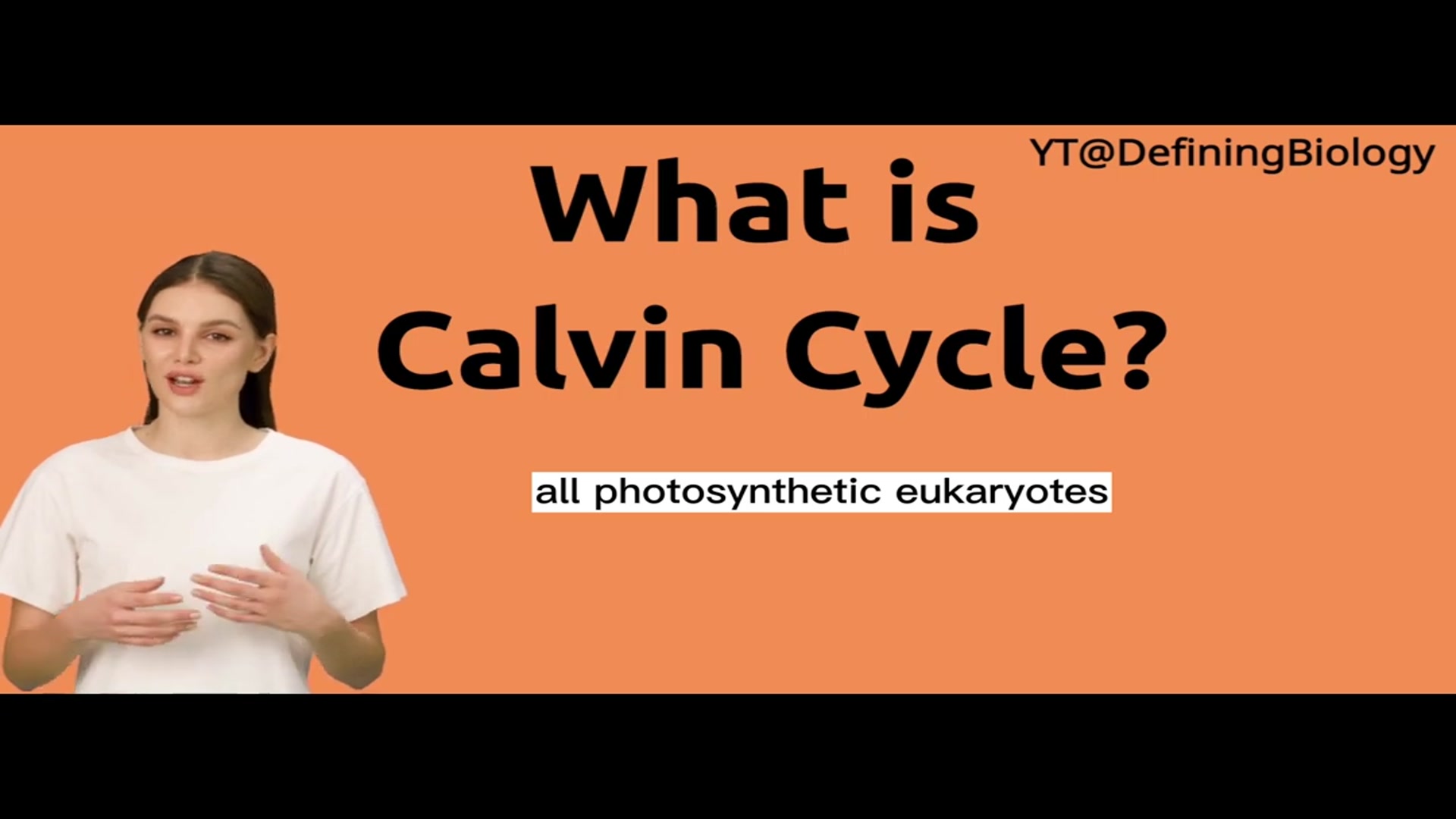 'Video thumbnail for What is Calvin Cycle in Biology ?   Definitions and meaning'
