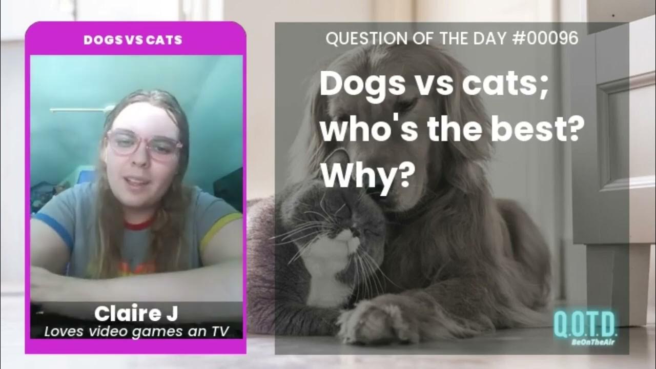 Video thumbnail for Claire says cats are friendlier than dogs!