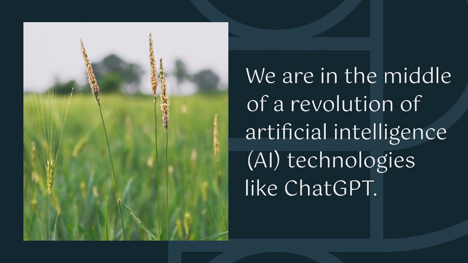 'Video thumbnail for 3 Ways How AI Can Help Farmers Tackle Modern Challenges of Agriculture'