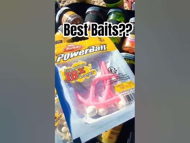 Video thumbnail for Testing out the Best Baits for Trout Fishing from Shore 🎣 #Fishingtips