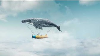 'Video thumbnail for Discovering 10 Whale Fun Facts That Will Amaze You Unveiling the Mysteries of the Ocean Giants'