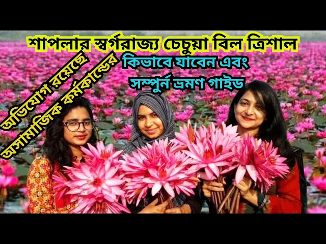 Video thumbnail for শাপলার স্বর্গরাজ্য ভ্রমণ পিপাসুদের চেচুয়া বিল ত্রিশাল | Chechua Shapla Bill | Trishal Mymensingh