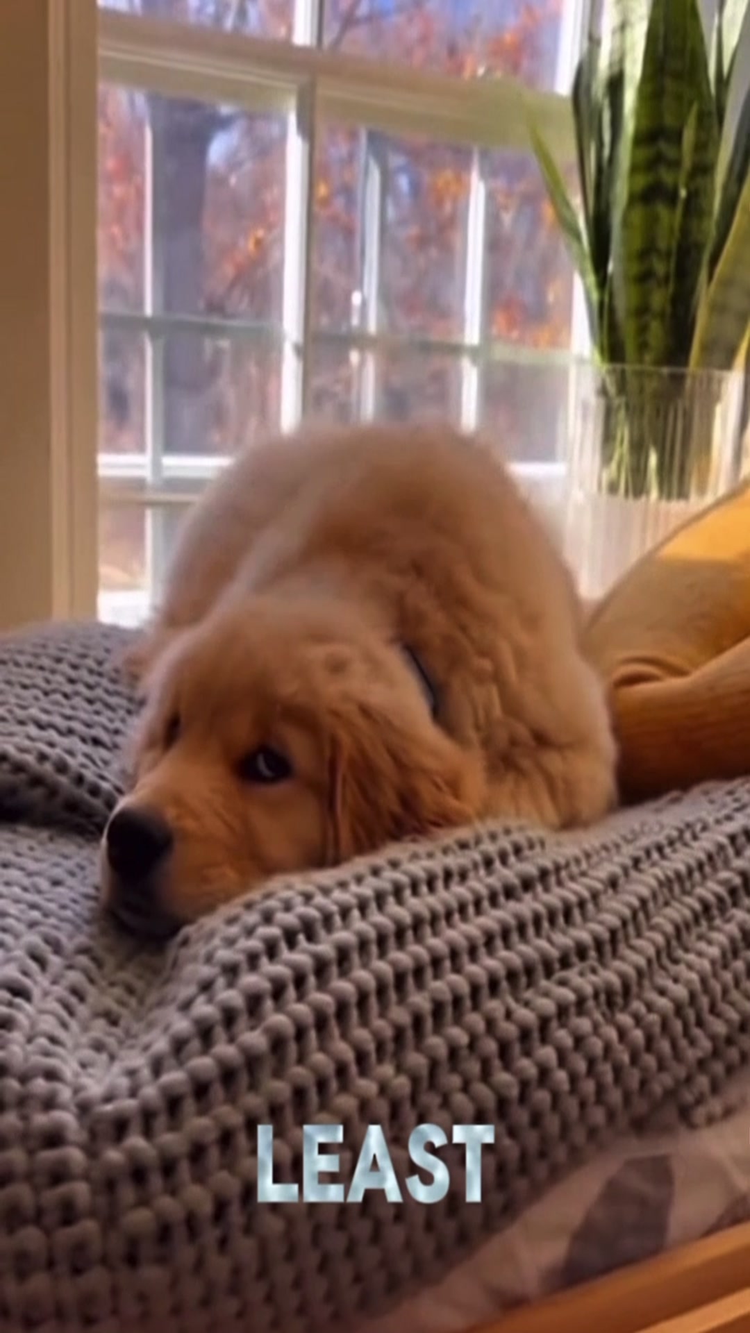 Video thumbnail for AI Song