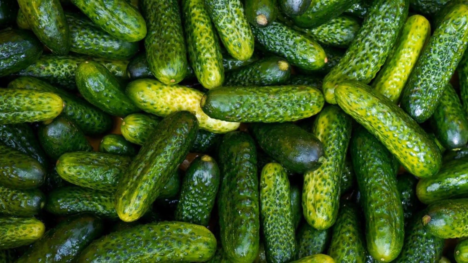 Video thumbnail for Keep Cucumbers Fresh: Best Storage Methods