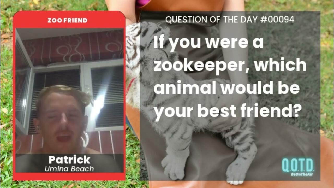 Video thumbnail for See you later, alligators! Patrick is chillin' with the crocodiles!