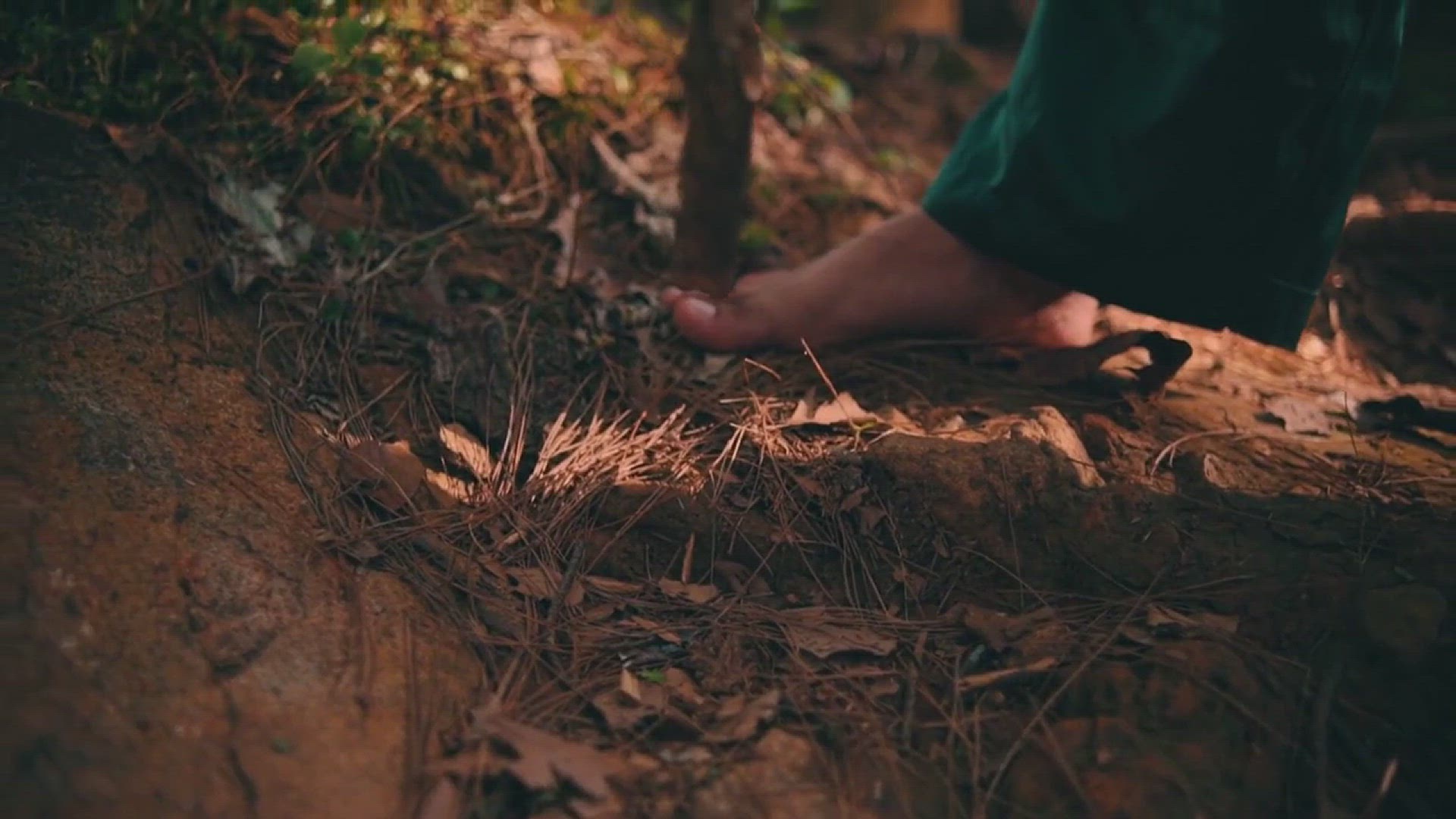 'Video thumbnail for Endless Path : Infinite Cosmos / Chapter 6: Within the Western Forests (1/2)'