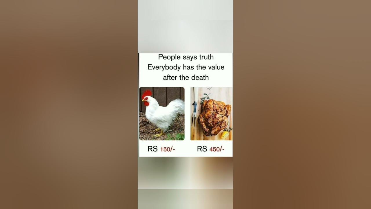 'Video thumbnail for funny memes that will make you laugh #291 || legend memes || funny relatable memes 😃 #shorts'