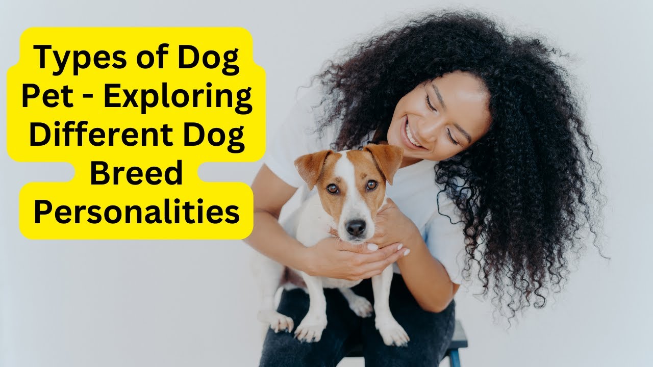 'Video thumbnail for Types of Dog Pet - Exploring Different Dog Breed Personalities'