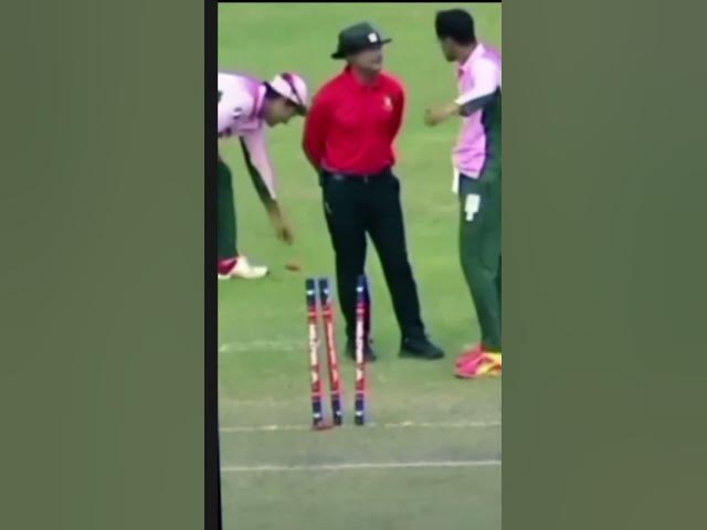 Video thumbnail for 31 August 2025