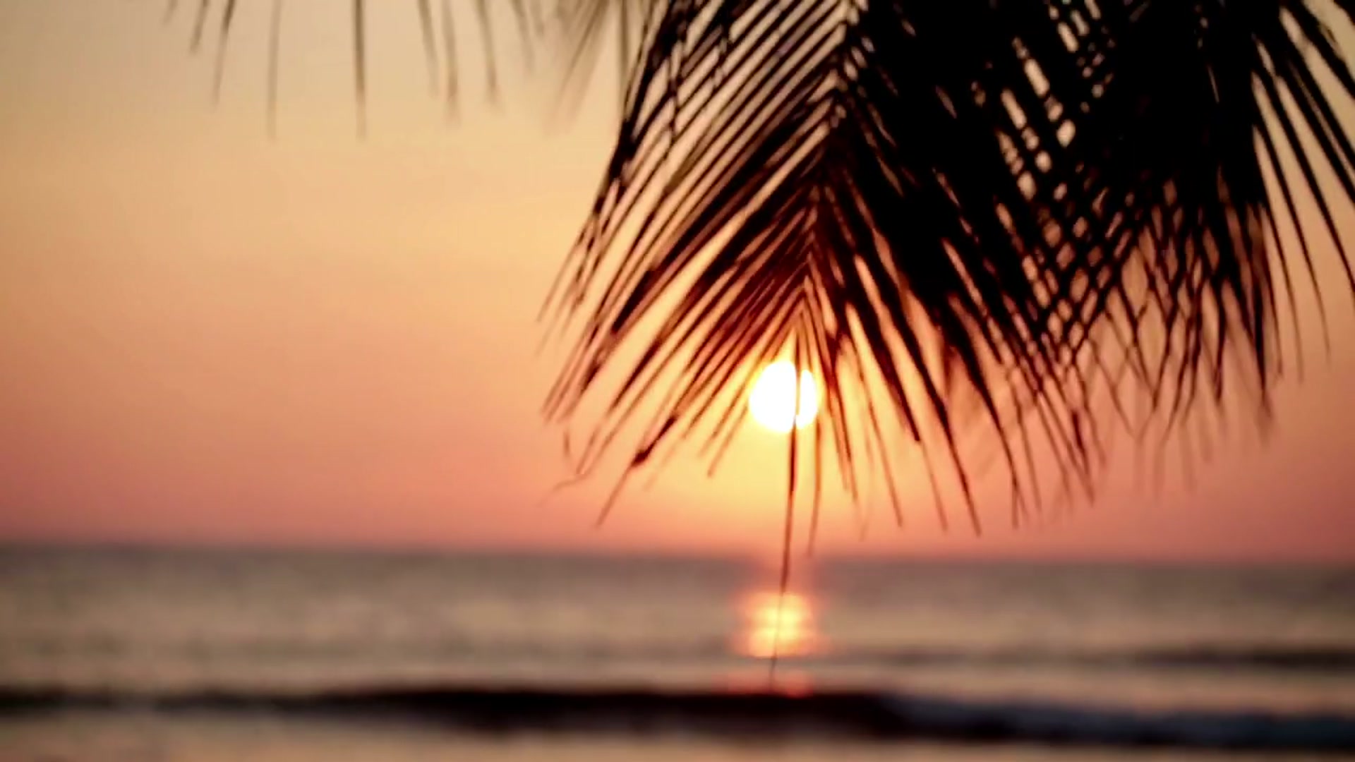 Video thumbnail for I Turned My Apartment Into A Real Life Luau Cooking the States (Hawaii)(720P HD)