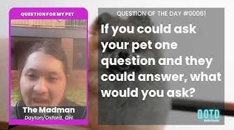 Video thumbnail for The Madman wants to know: what does his cat think of memes?