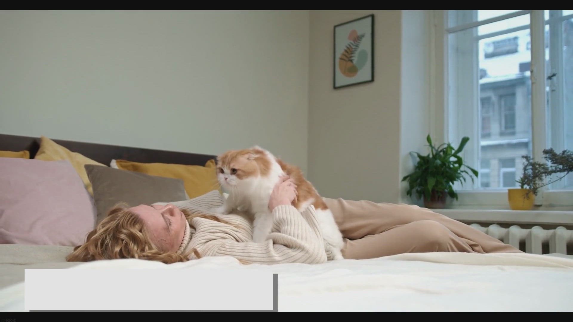 Video thumbnail for The Lifespan of Ragdoll Cats: How to Ensure a Long Life