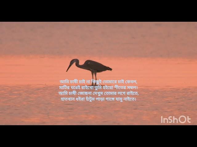 Video thumbnail for কবিতাঃ স্বপ্ন, লেখা ও আবৃত্তিঃ রফিকুল ইসলাম।