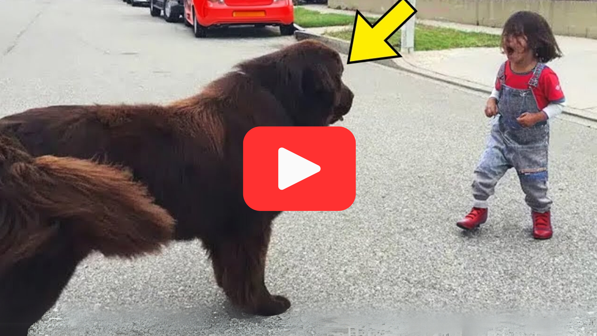 'Video thumbnail for When a Boy Shouted at His Dog, Its Reaction Was Unbelievable'