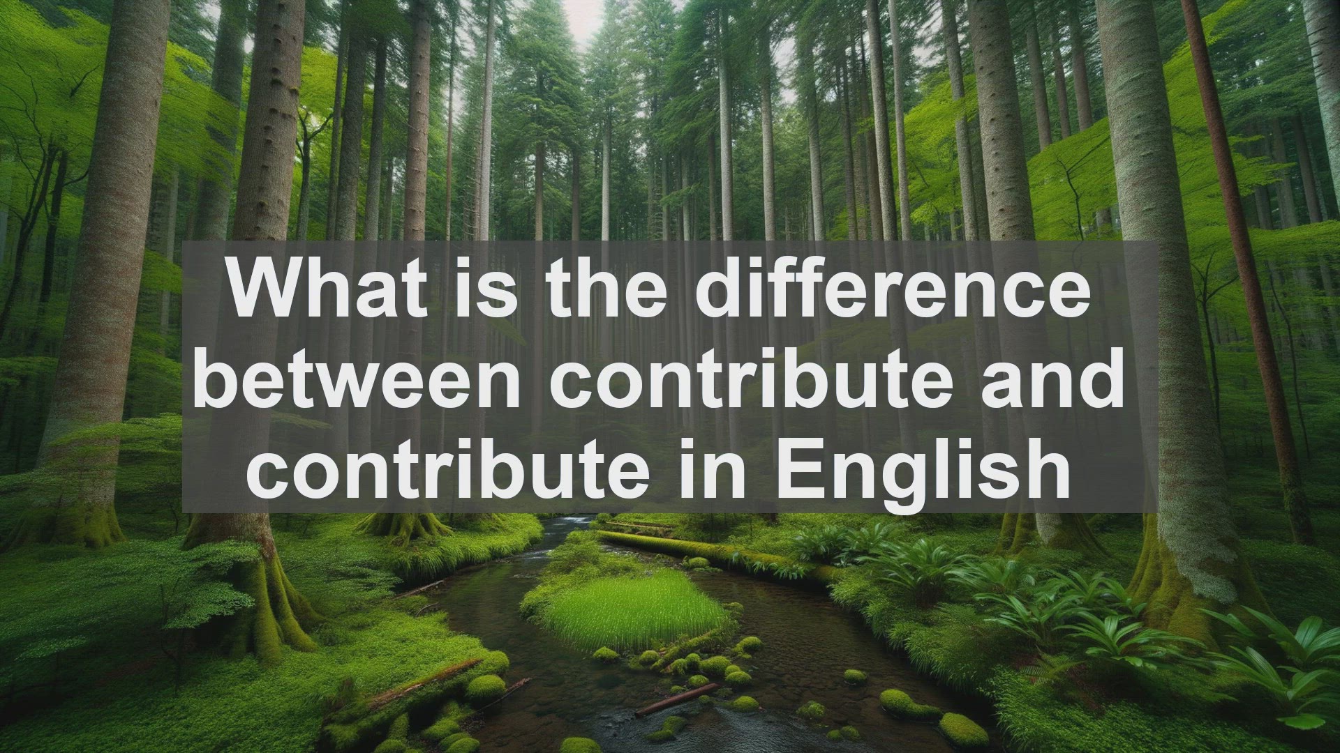 'Video thumbnail for What is the difference between contribute and contribute in English?'