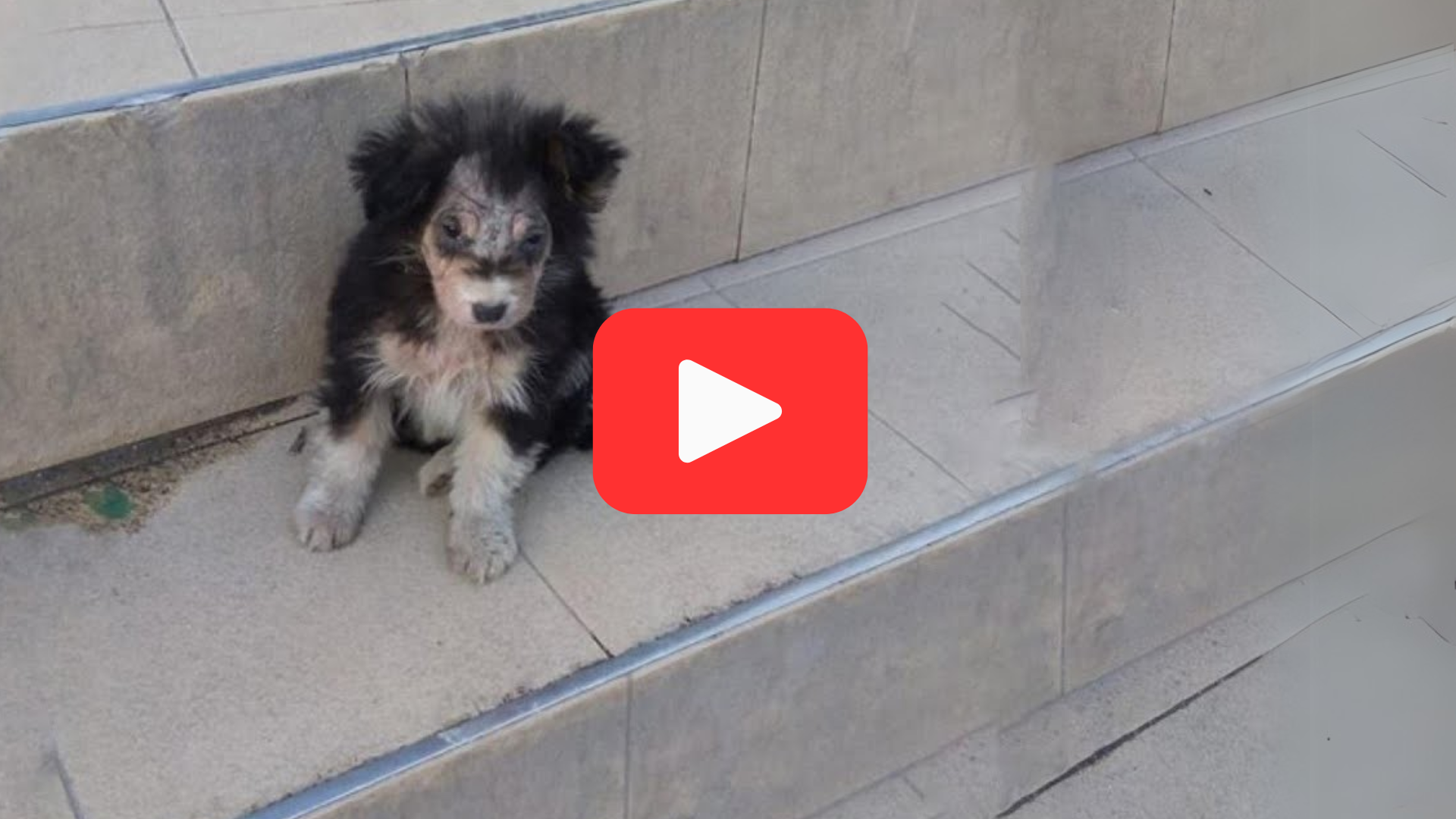 'Video thumbnail for Tears Fall as She Pleads for Help Outside the Supermarket—Ignored by All'
