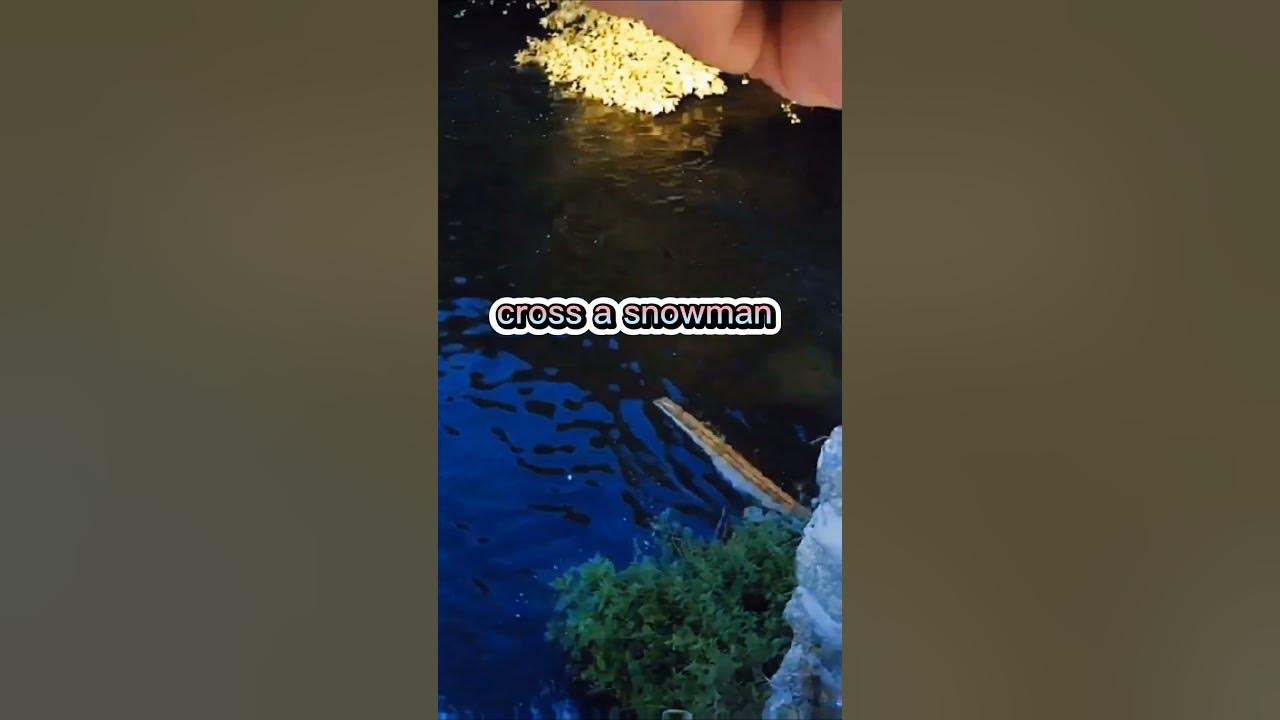 'Video thumbnail for Fishing Joke 22 #jokes #fishingjokes #humor'