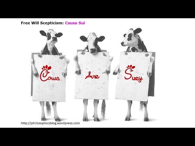 Video thumbnail for Free Will Scepticism: Causa Sui