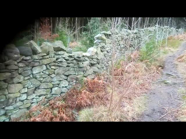 Video thumbnail for Making use of a dry stone wall to teach Betty to 'get over'.