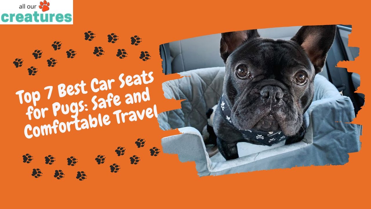 French Bulldog Car Seat Cover 3 in 1 (WS077) – frenchie Shop