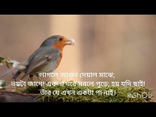 Video thumbnail for 5 March 2024