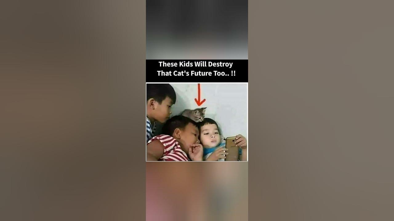 'Video thumbnail for Memes only Legends will find funny,op memes | Relatable memes | #222 #shorts #memes #anonymous #meme'