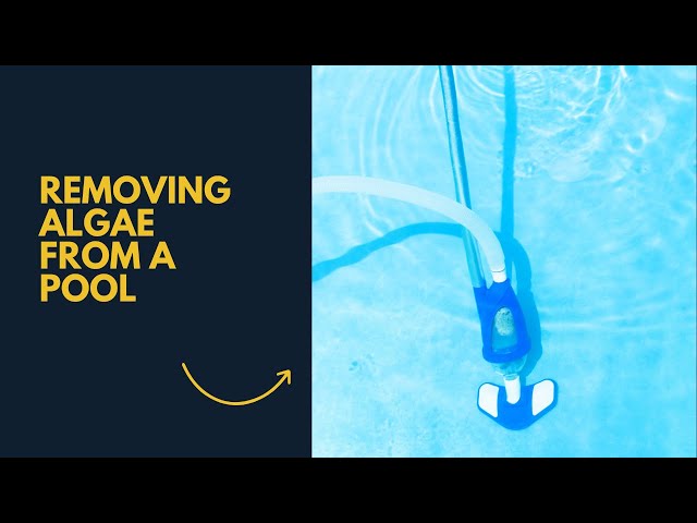'Video thumbnail for How to Remove Algae from a Pool without a Vacuum:  A step by Step Guide'