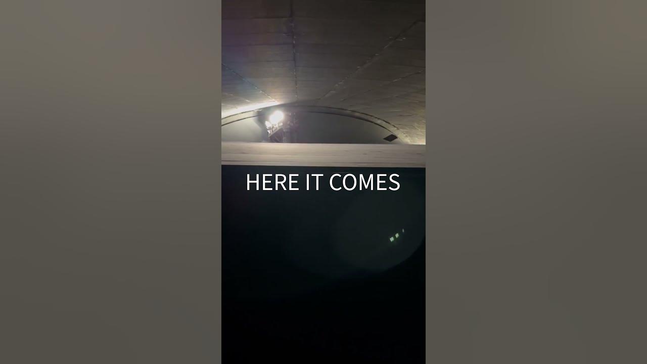 'Video thumbnail for See Space Mountain with the Lights on!'