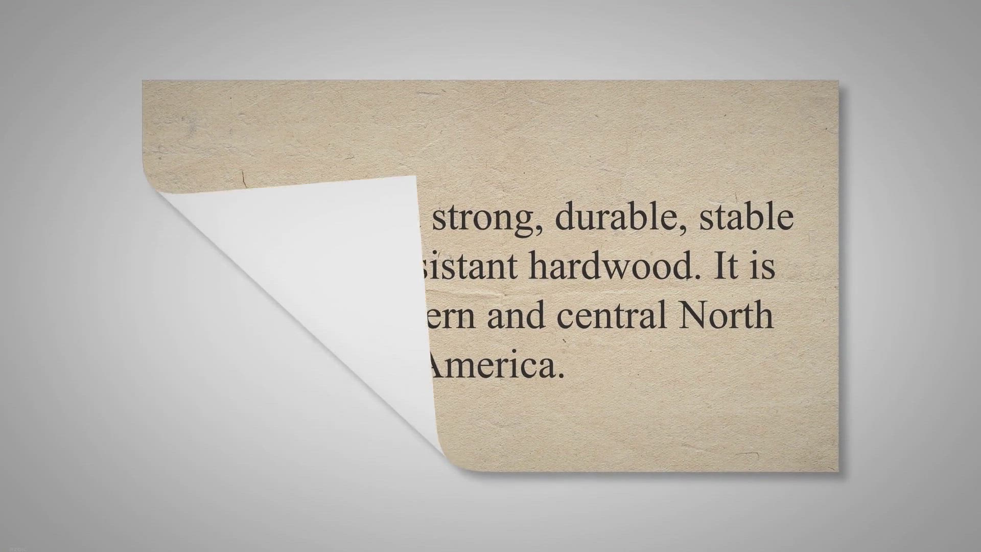 Video thumbnail for Ash Wood | Its Advantages and Disadvantages