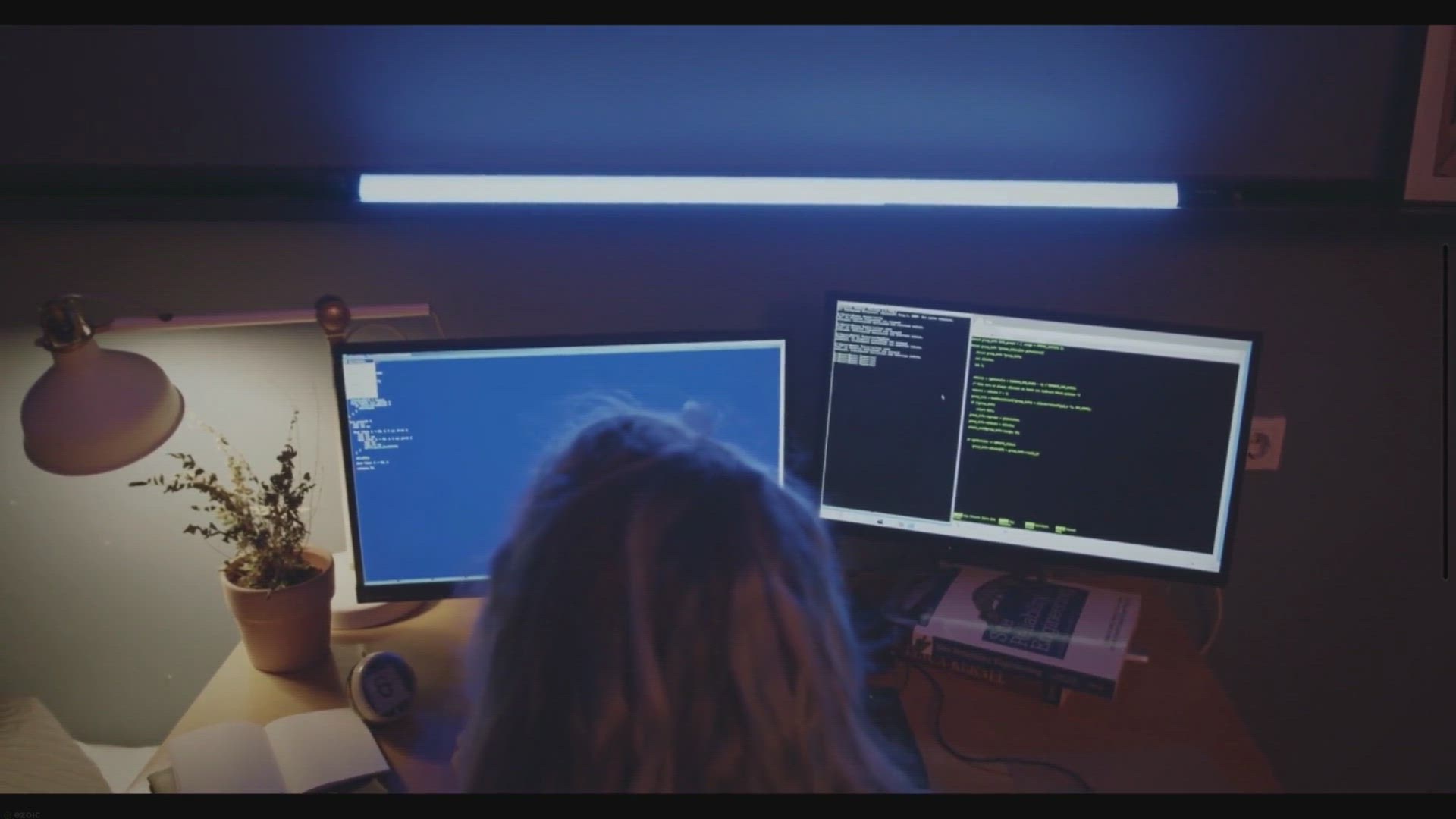 'Video thumbnail for 7 Most In-Demand Programming Languages for 2024'